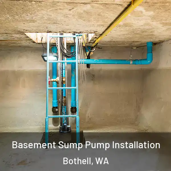  Basement Sump Pump Installation Bothell, WA