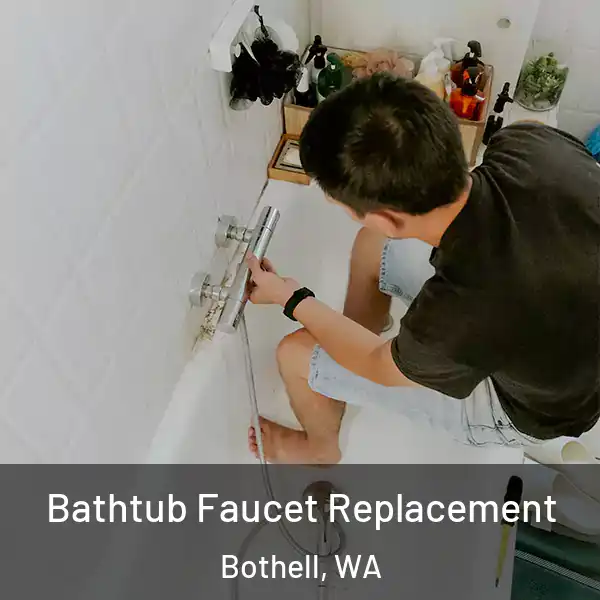  Bathtub Faucet Replacement Bothell, WA