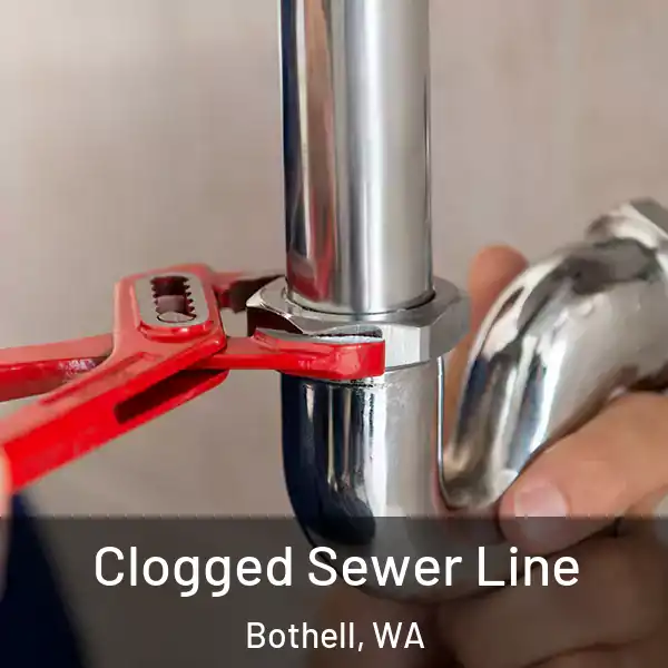  Clogged Sewer Line Bothell, WA