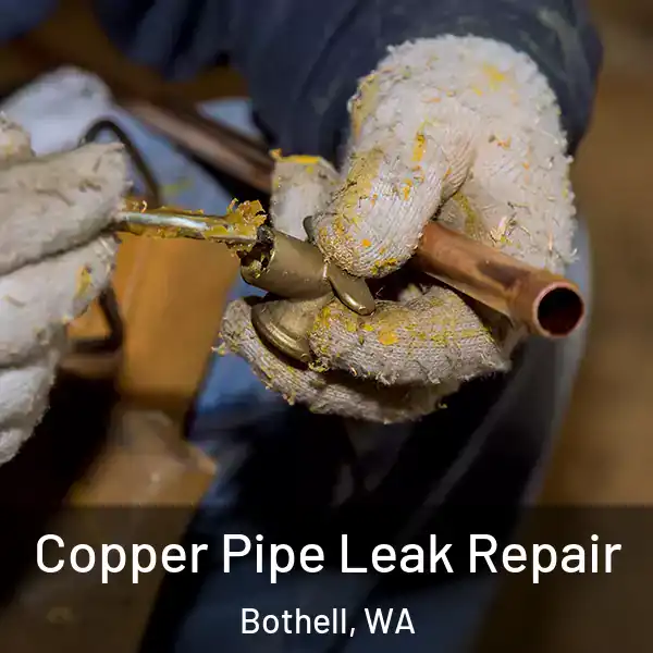 Copper Pipe Leak Repair Bothell, WA