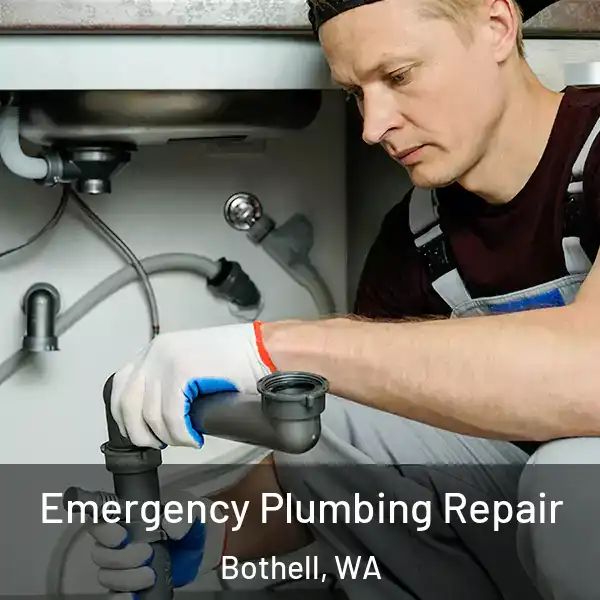  Emergency Plumbing Repair Bothell, WA