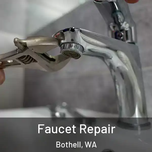  Faucet Repair Bothell, WA