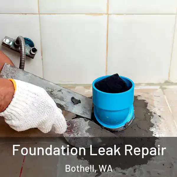  Foundation Leak Repair Bothell, WA