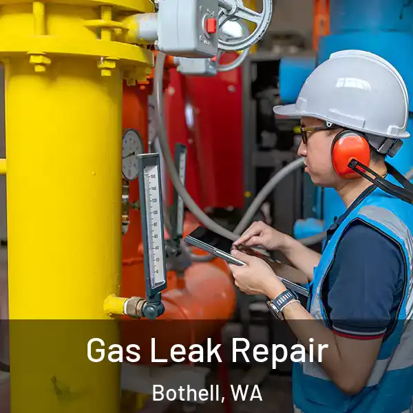  Gas Leak Repair Bothell, WA