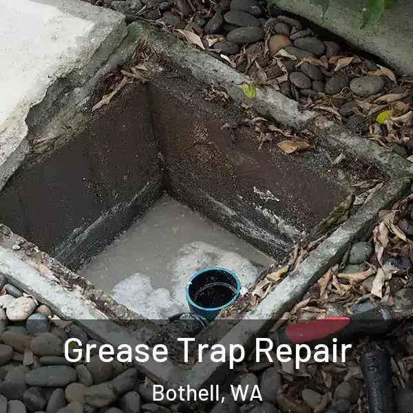  Grease Trap Repair Bothell, WA