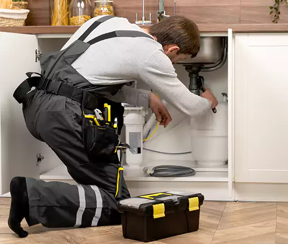 Certified Plumbers for Insinkerator Installation in Bothell