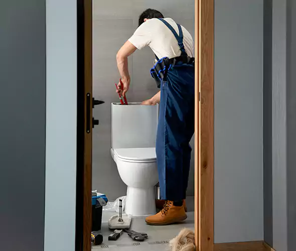 Professional Plumbers for Toilet Bowl Replacement in Bothell, WA: Schedule Affordable Toilet Replacement Services With Us