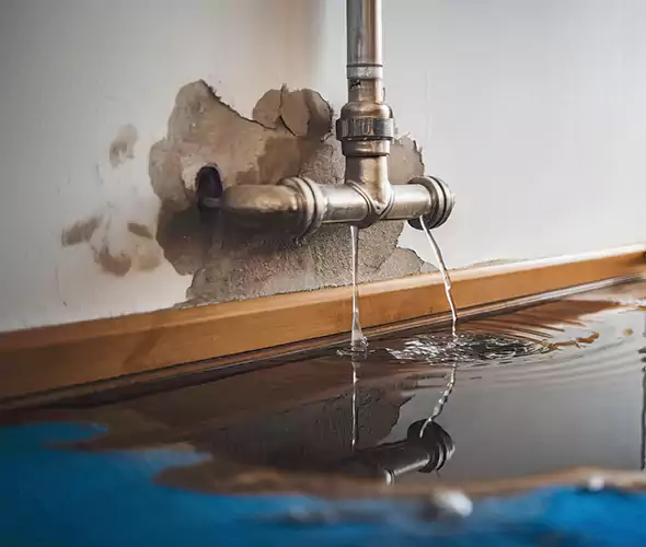 Professional Water Damage Restoration Experts in Bothell, WA — Fast, Reliable & Certified