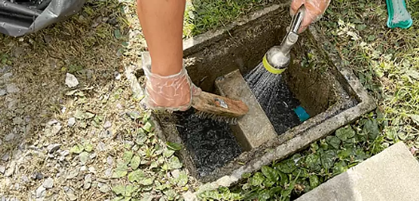 Professional Grease Trap Cleaning Services in Bothell, WA