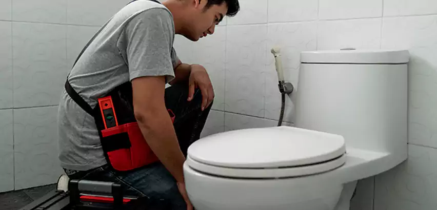Toilet Repair in Bothell