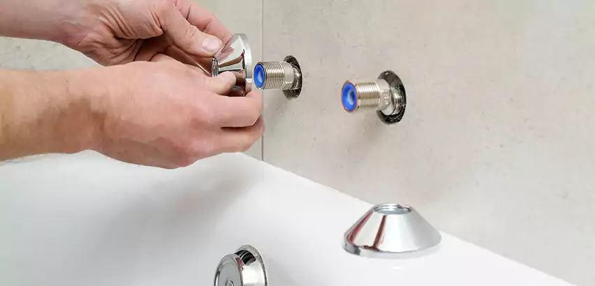 Bathtub Faucet Diverter Replacement in Bothell