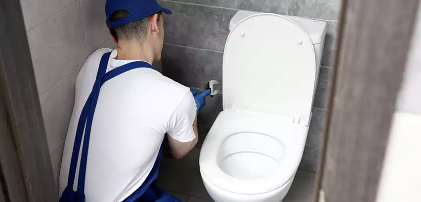Toilet Lid Replacement in Bothell