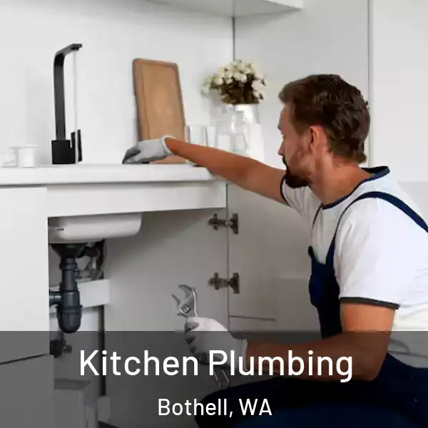  Kitchen Plumbing Bothell, WA