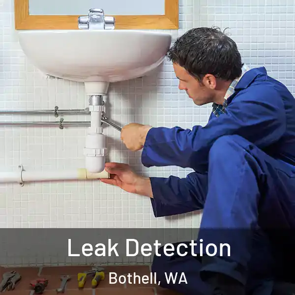  Leak Detection Bothell, WA