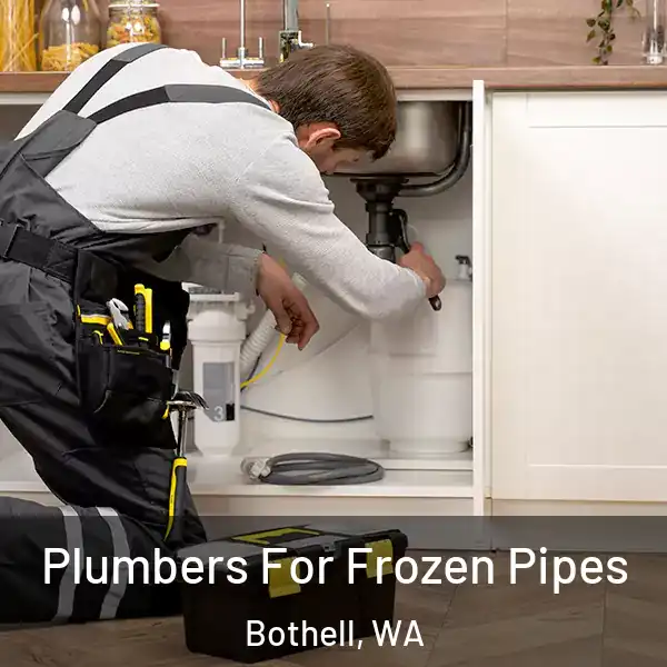 Plumbers For Frozen Pipes Bothell, WA