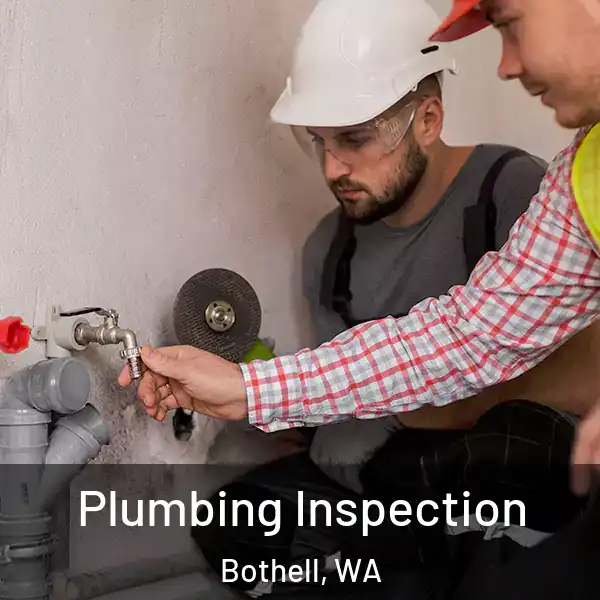  Plumbing Inspection Bothell, WA