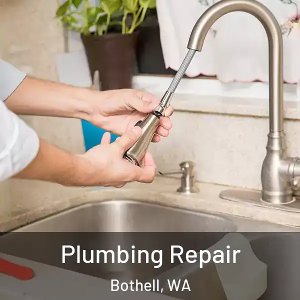  Plumbing Repair Bothell, WA