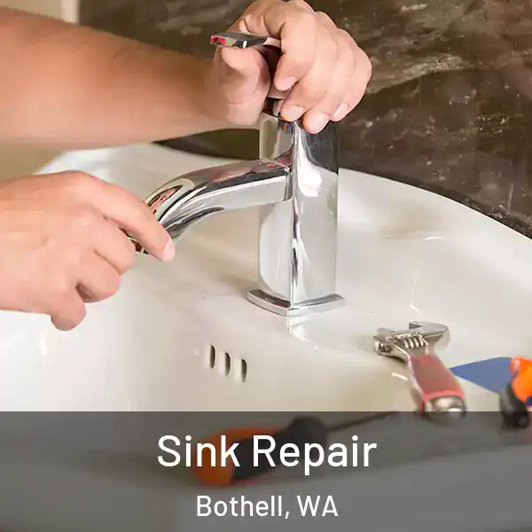  Sink Repair Bothell, WA
