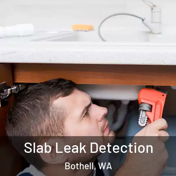  Slab Leak Detection Bothell, WA