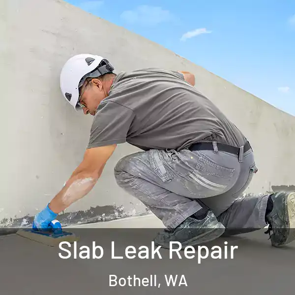  Slab Leak Repair Bothell, WA