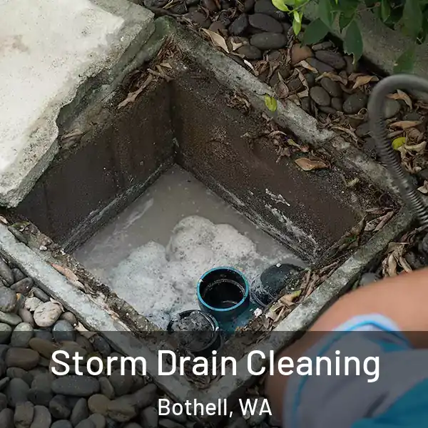  Storm Drain Cleaning Bothell, WA