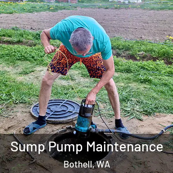  Sump Pump Maintenance Bothell, WA