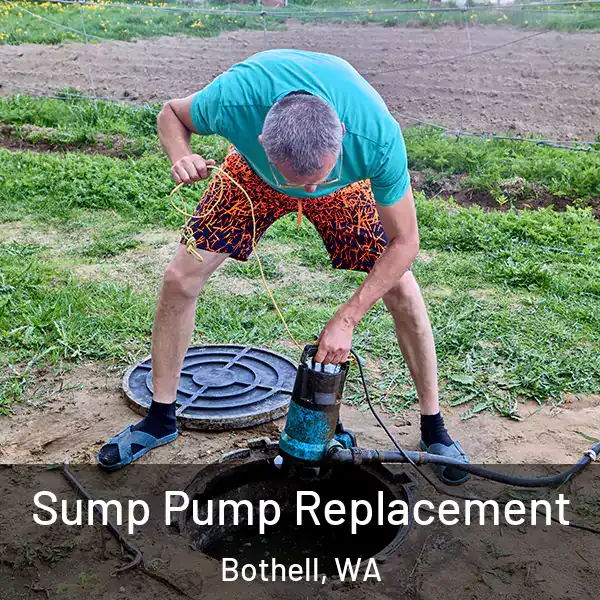  Sump Pump Replacement Bothell, WA