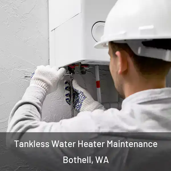  Tankless Water Heater Maintenance Bothell, WA