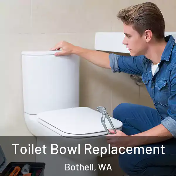  Toilet Bowl Replacement Bothell, WA