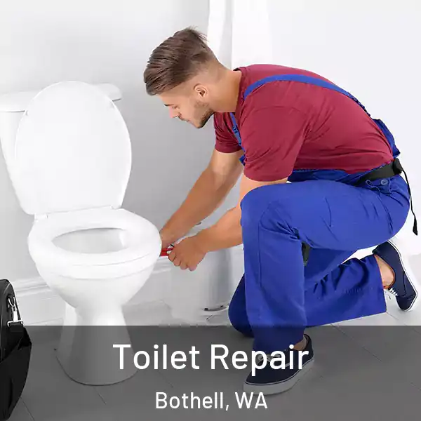 Toilet Repair Bothell, WA