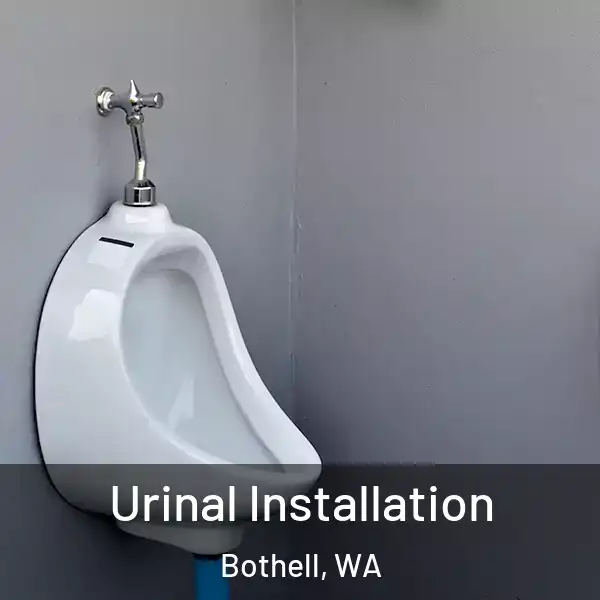  Urinal Installation Bothell, WA