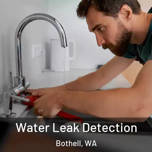  Water Leak Detection Bothell, WA