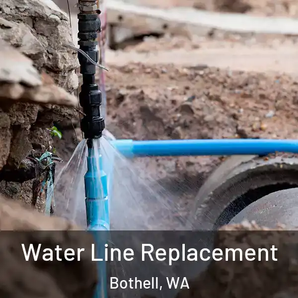  Water Line Replacement Bothell, WA